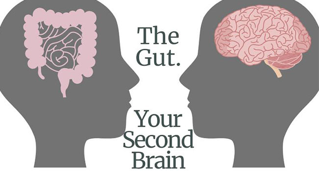 食慾會失控 一切都是大腦幹的好事